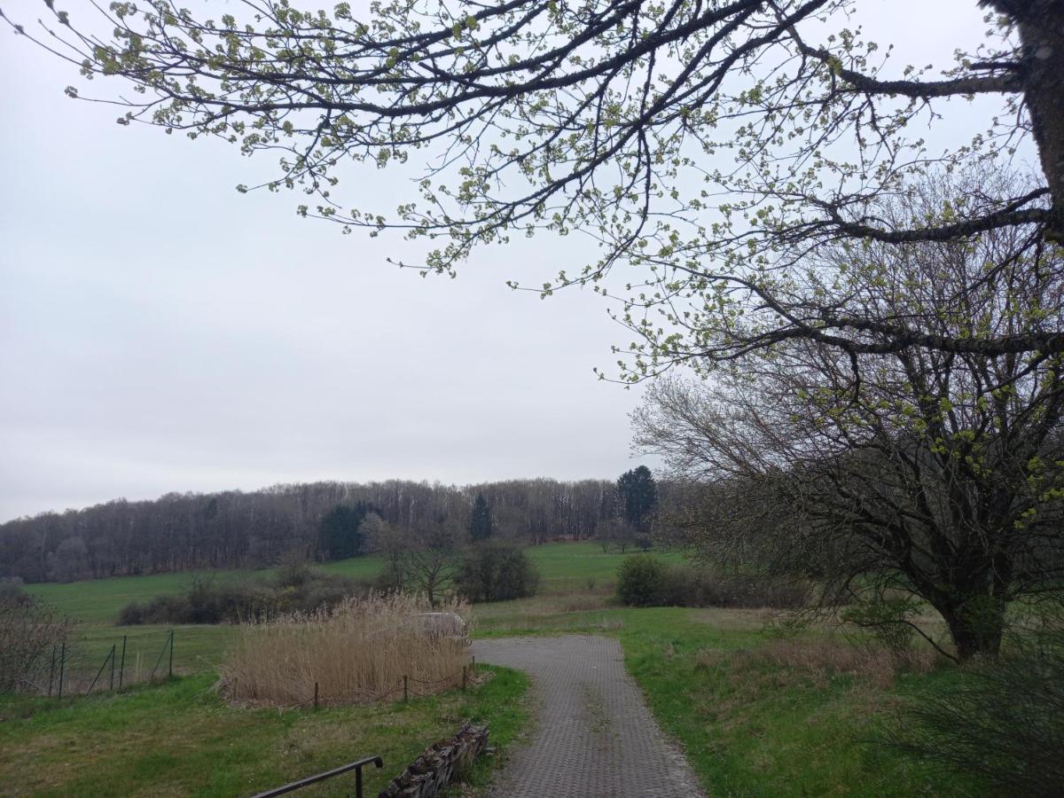 Ferienwohnung Sophia Nohfelden Bagian luar foto